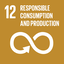 12) Responsible Consumption and Production